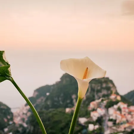 Casa Bellavista Minuta Amalfi Coast Scala